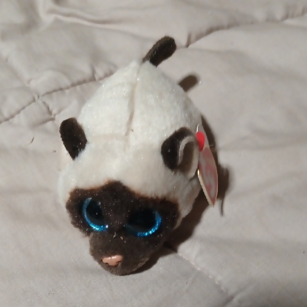 Ty - Plush Siamese Cat Toy - White and Brown- Teeny Tys